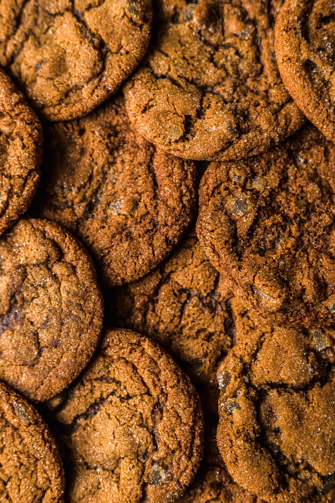 Close up of golden brown ginger molasses cookies and their crackly texture