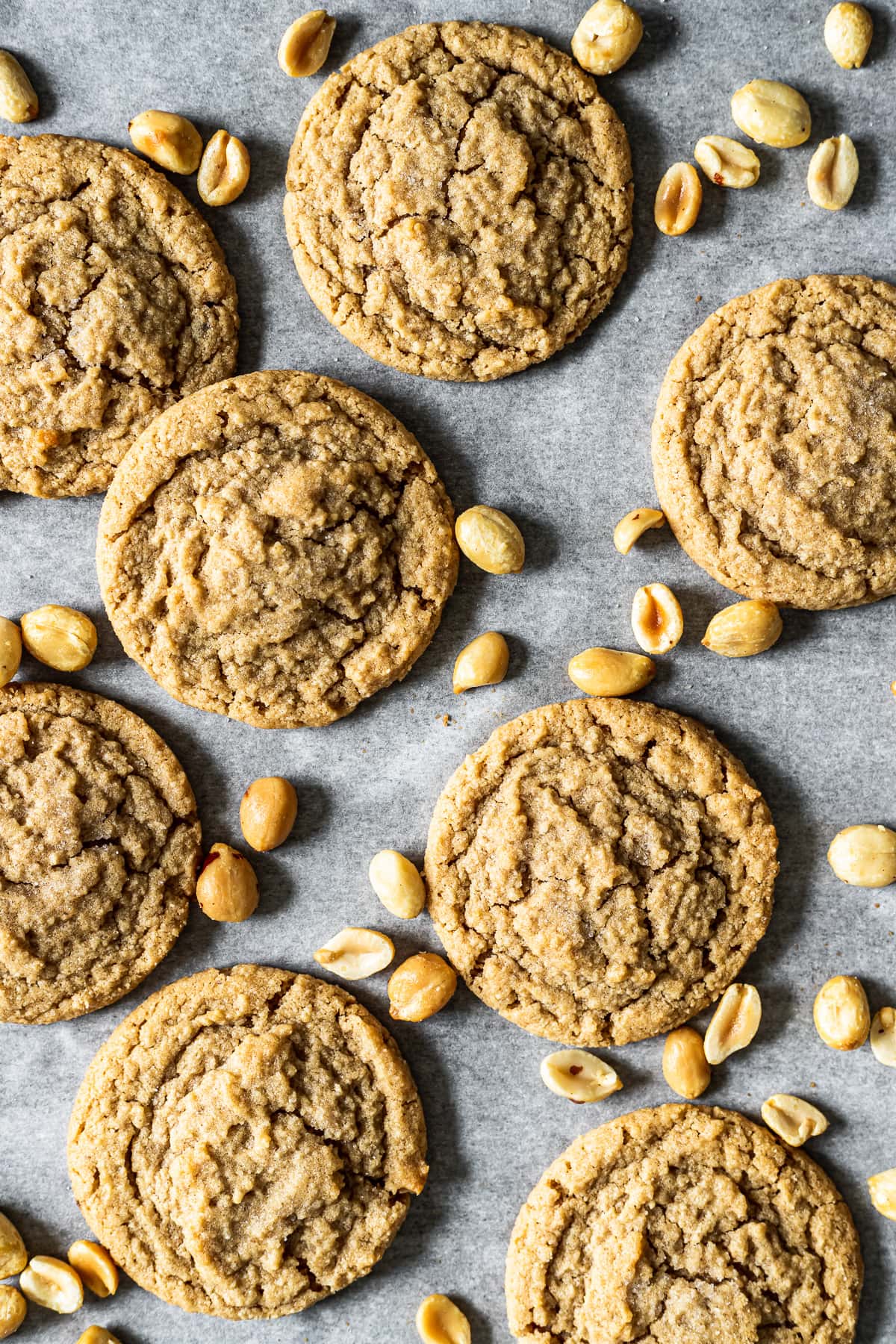 8 round cookies on a white parchment paper lined baking sheet with peanuts sprinkled around them.