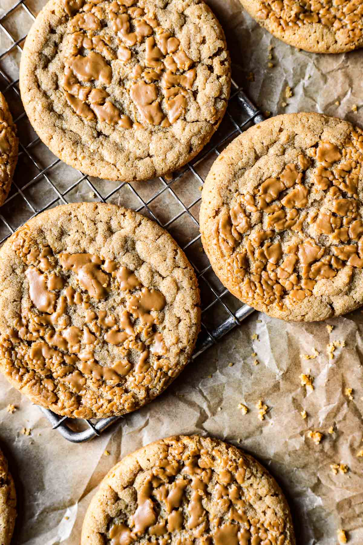 Close up of round speculoos butter cookies on brown parchment paper.