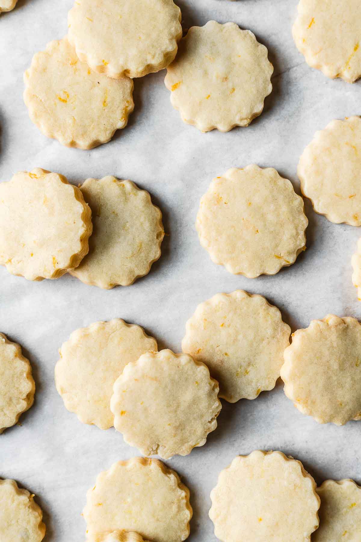 Round lemon shortbread cookies on parchment paper.