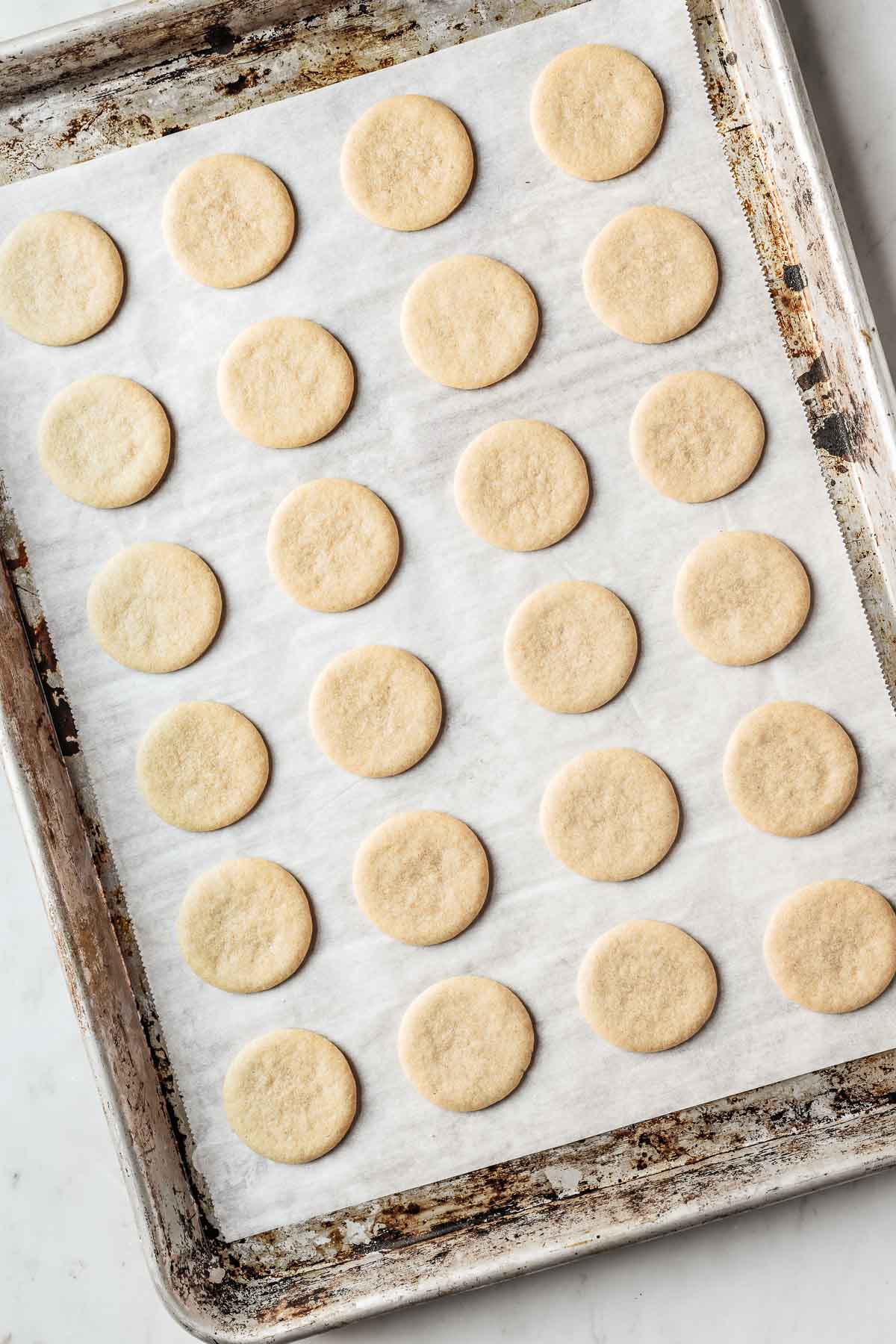 Baked round vanilla cookies on a parchment lined baking sheet.