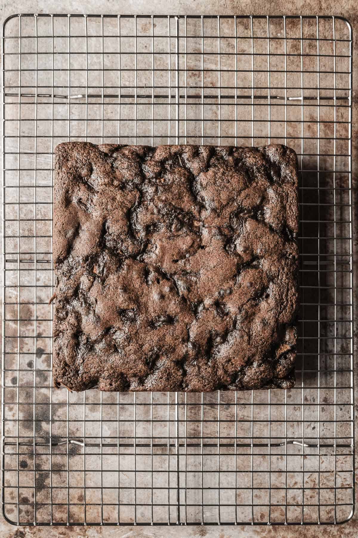 A baked single layer square chocolate cake cooling on a metal rack.