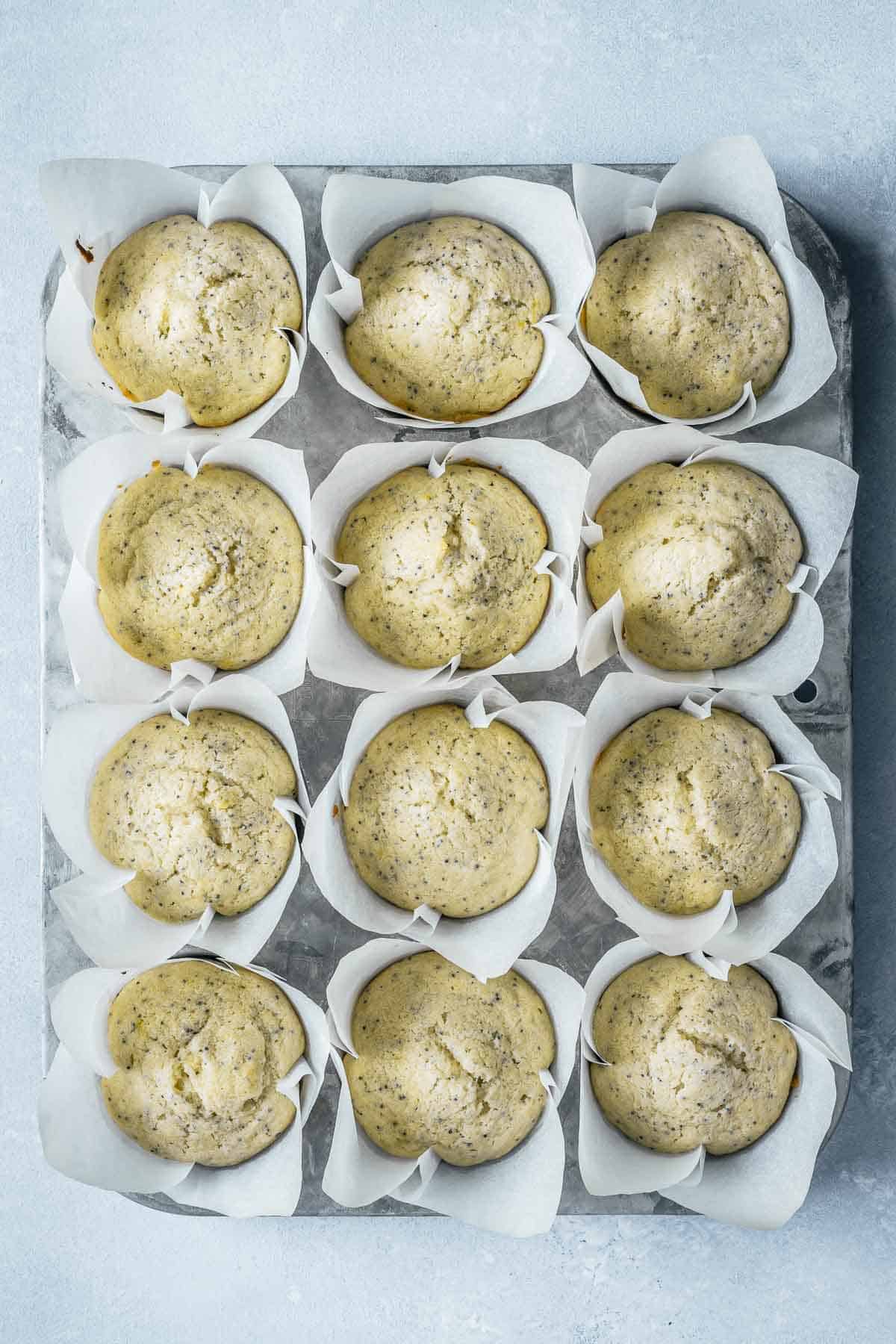 Baked lemon poppy seed muffins in white tulip shaped paper liners.
